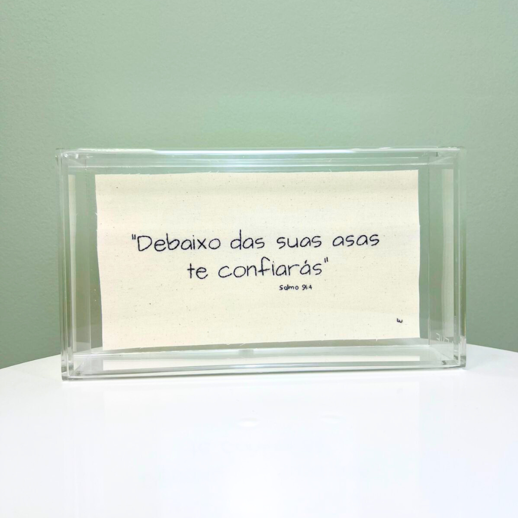 DEBAIXO DAS SUAS ASAS 22.5X12.5CM