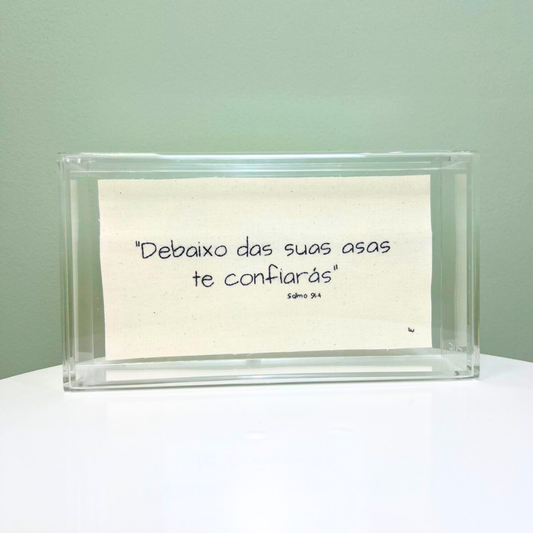 DEBAIXO DAS SUAS ASAS 22.5X12.5CM