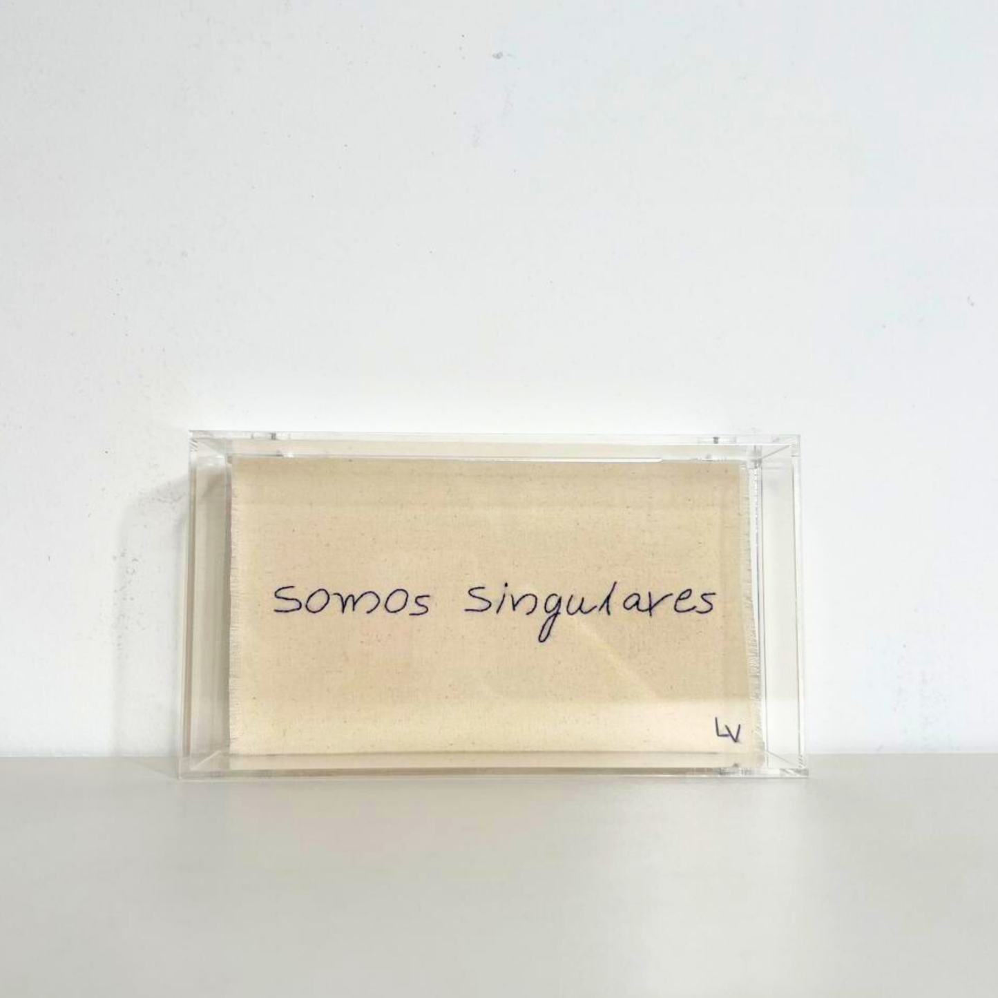 SOMOS SINGULARES 12.5X22.5CM